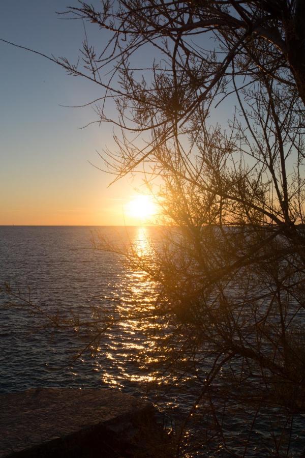 Villa, Stone House With Swimming Pool & Sauna, Beach, סביד מראה חיצוני תמונה