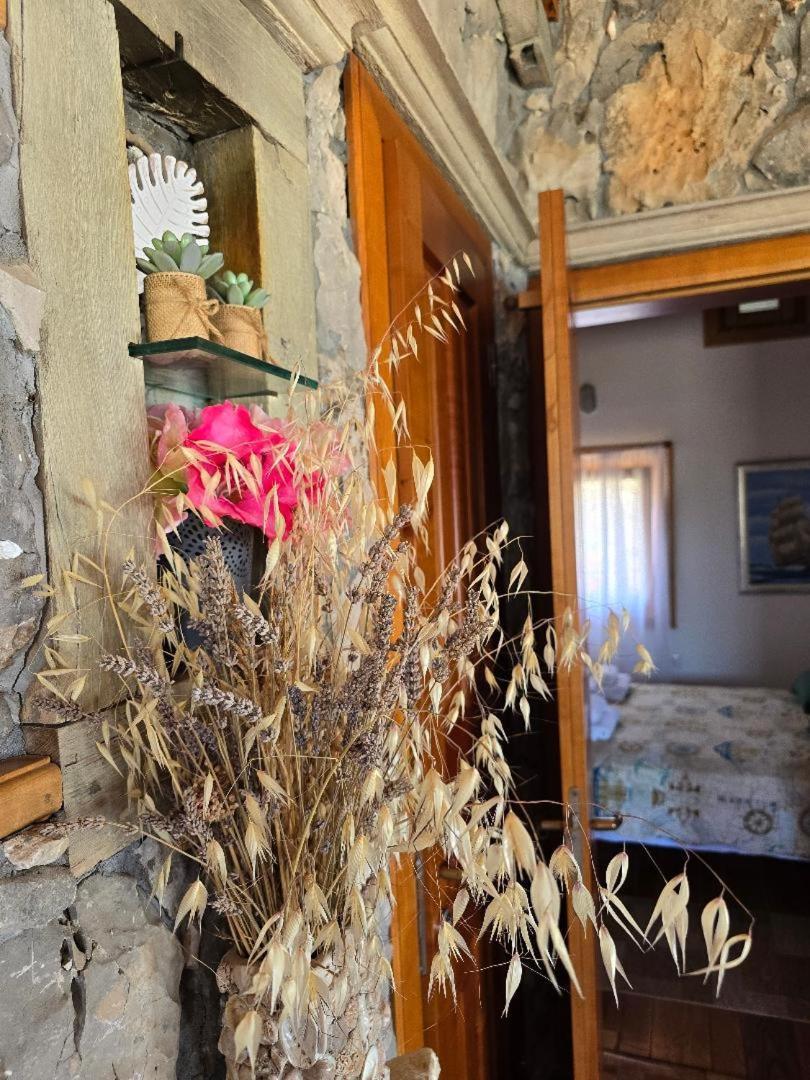 Villa, Stone House With Swimming Pool & Sauna, Beach, סביד מראה חיצוני תמונה