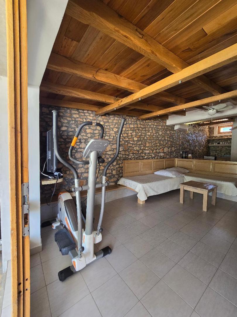Villa, Stone House With Swimming Pool & Sauna, Beach, סביד מראה חיצוני תמונה